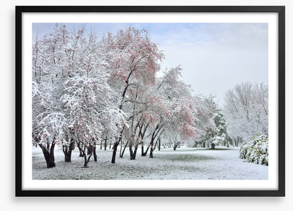 The start of winter