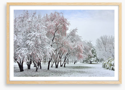 The start of winter