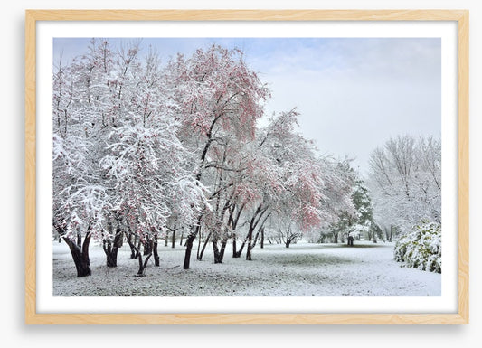 The start of winter