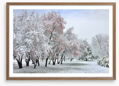 The start of winter