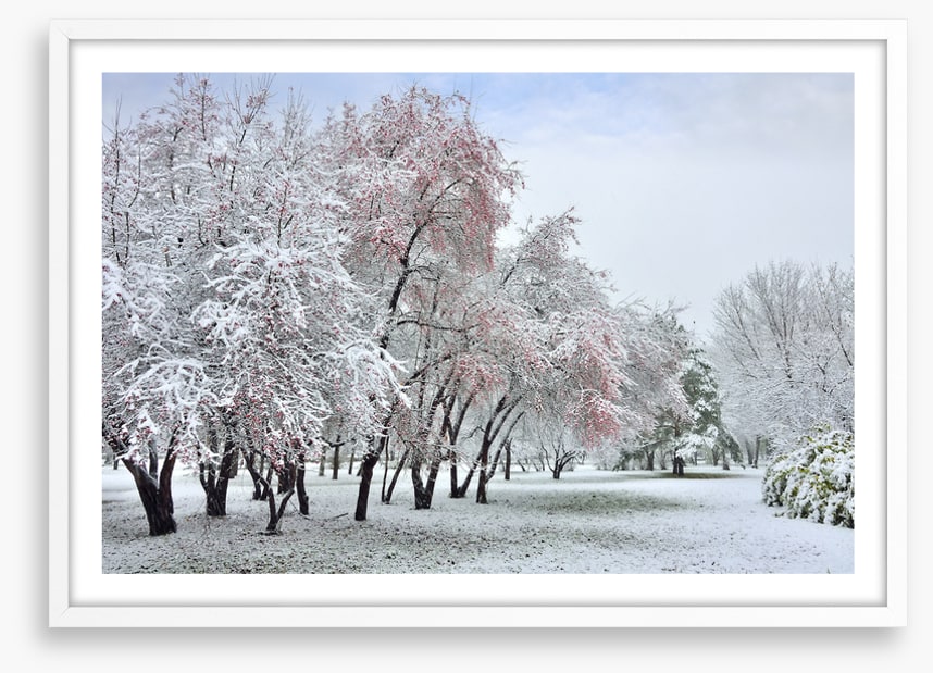 The start of winter