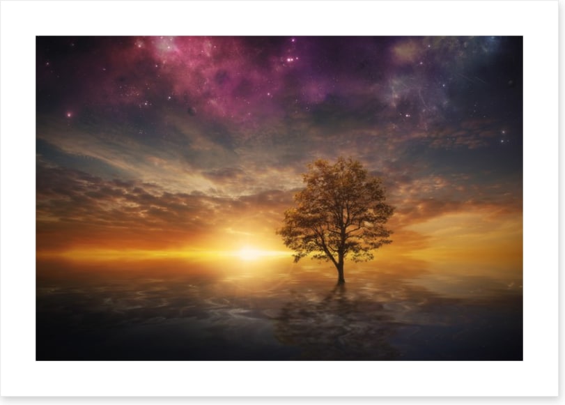 The nebula tree