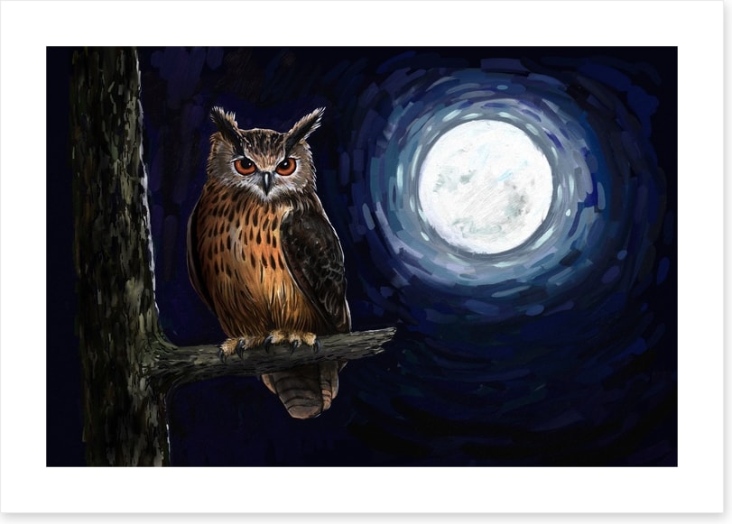 Moonlight owl
