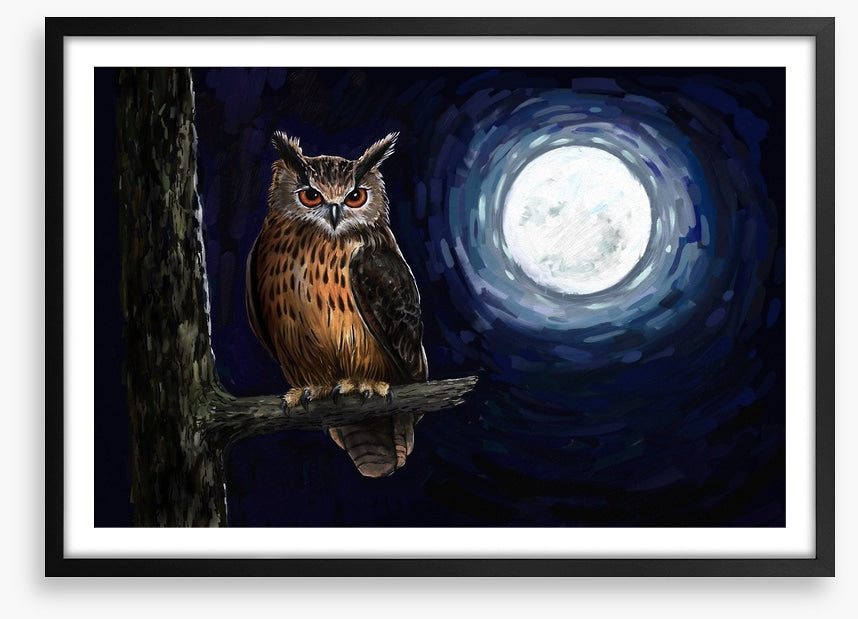 Moonlight owl