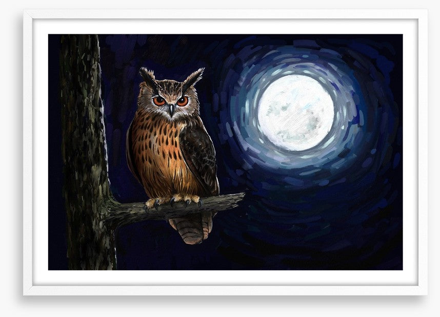 Moonlight owl