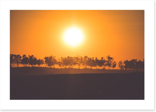 Africa