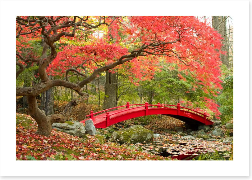 Red bridge in Autumn