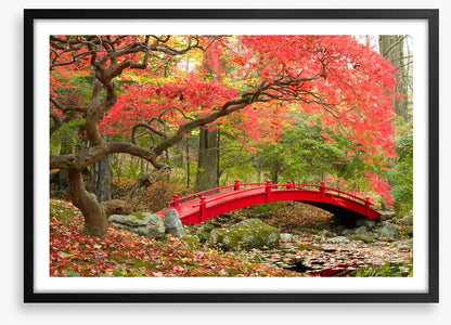 Red bridge in Autumn