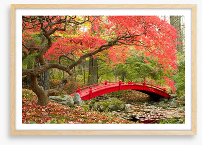 Red bridge in Autumn