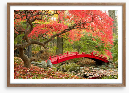 Red bridge in Autumn