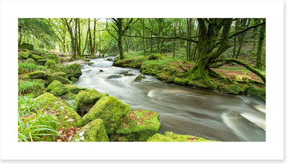 Rivers