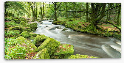 Rivers
