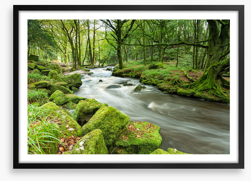 Green moss river