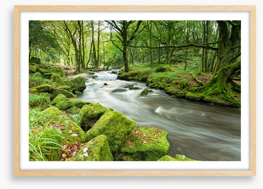 Green moss river