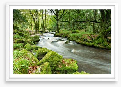 Green moss river