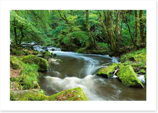 Rivers