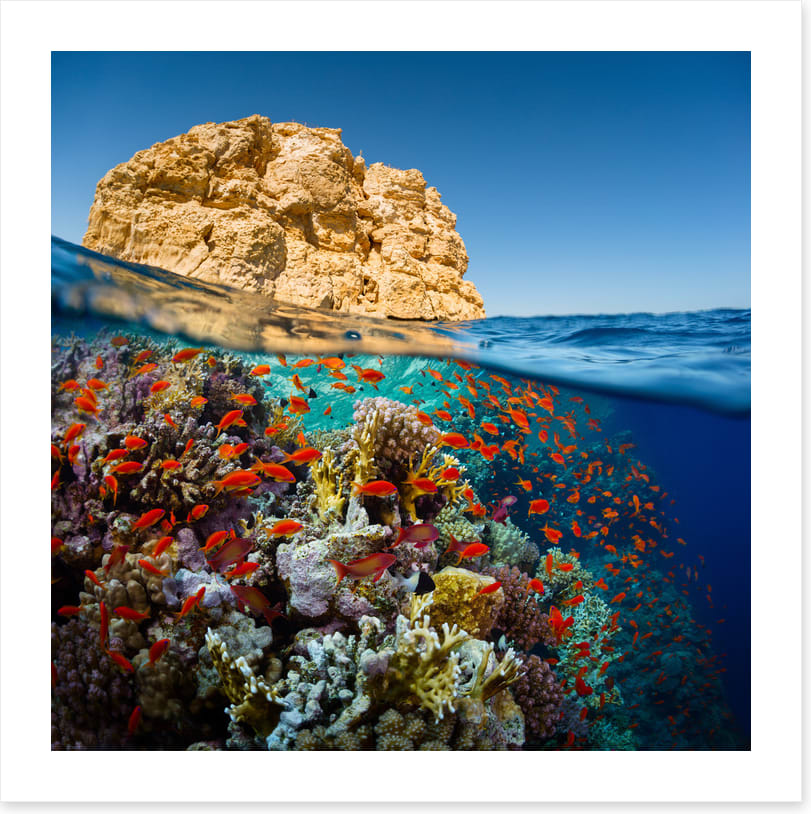 Below the Red Sea