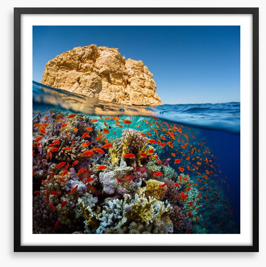 Below the Red Sea