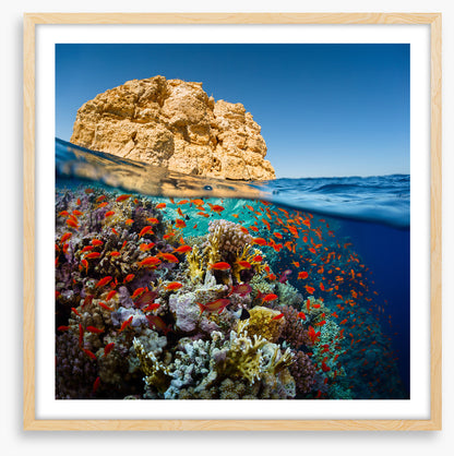 Below the Red Sea
