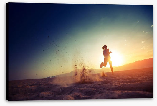 Desert run