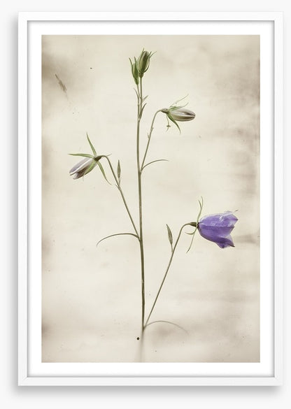 First to bloom
