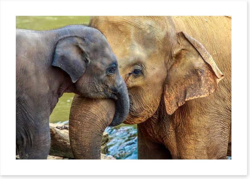 Cuddles with Mum