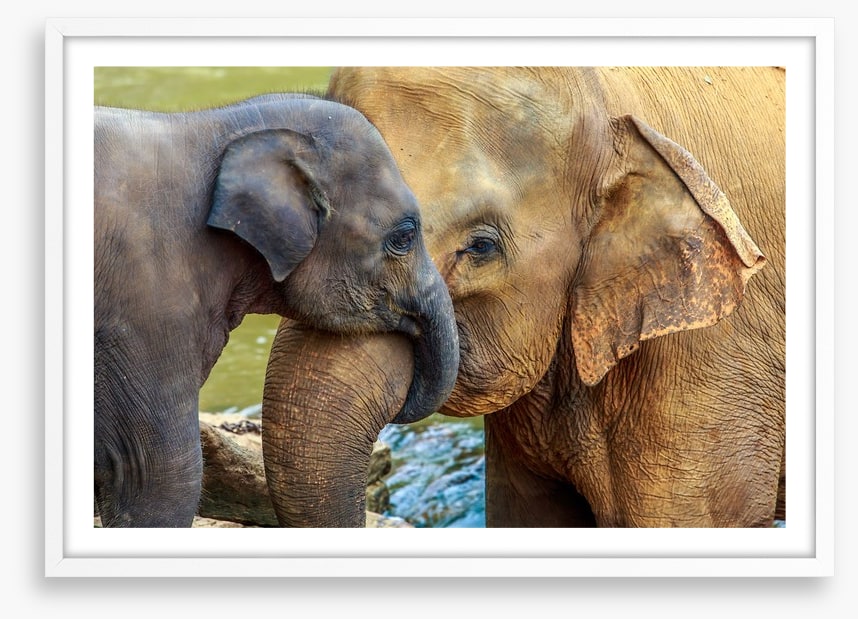 Cuddles with Mum