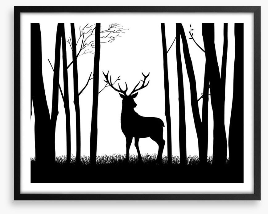 Deer in the woods