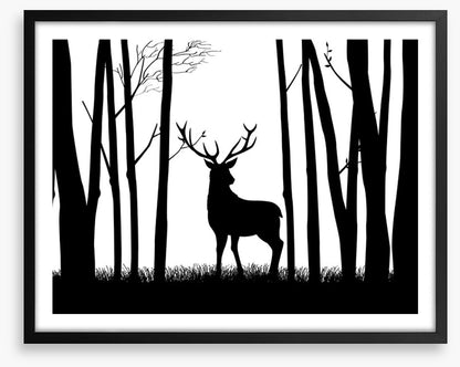 Deer in the woods