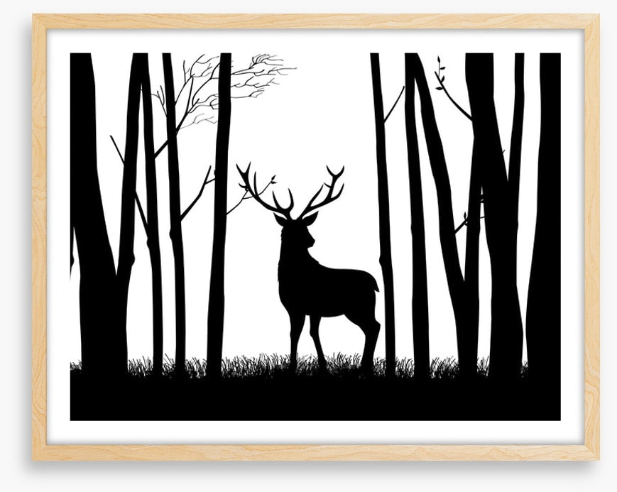Deer in the woods
