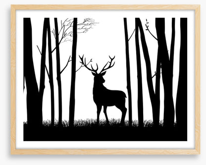 Deer in the woods