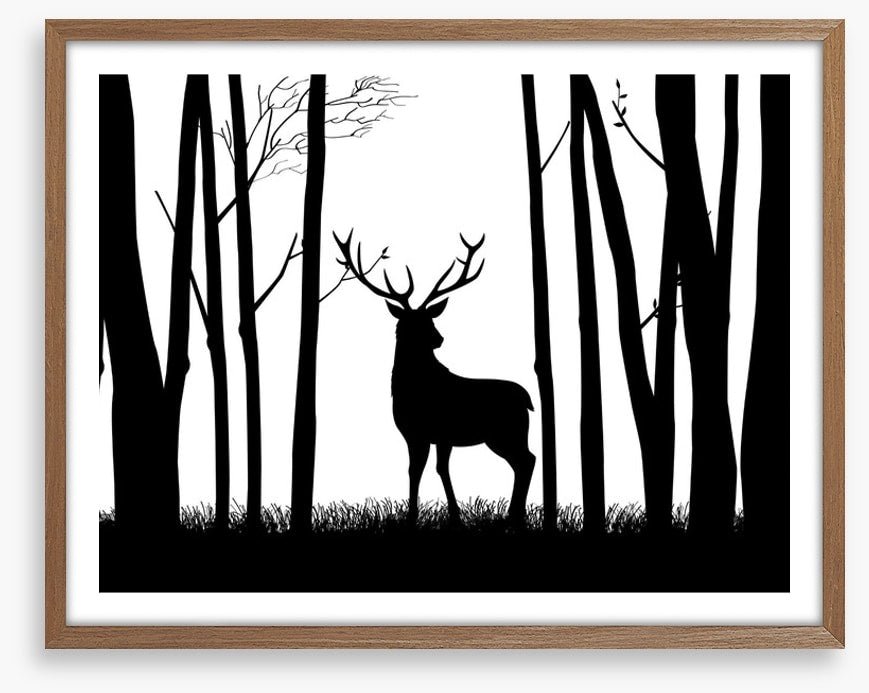 Deer in the woods
