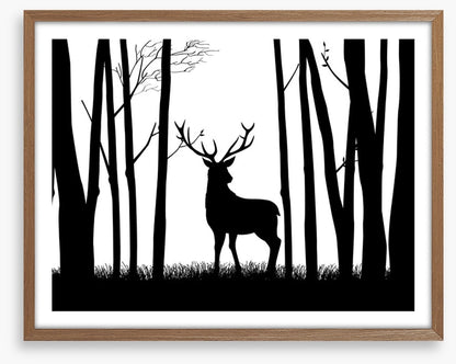 Deer in the woods