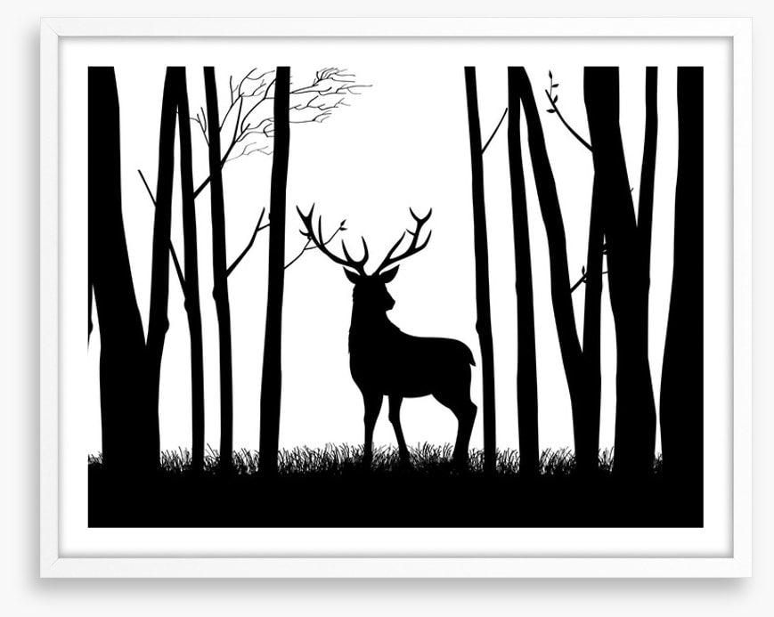 Deer in the woods