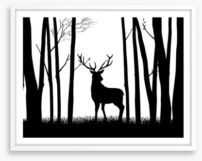Deer in the woods