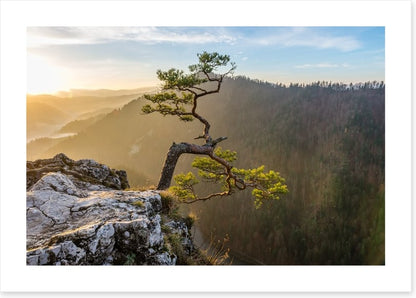 Cliffhanger