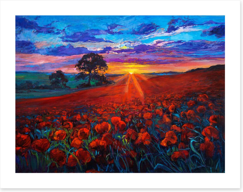 Last ray poppies