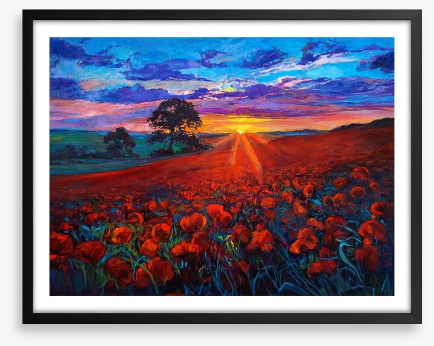 Last ray poppies