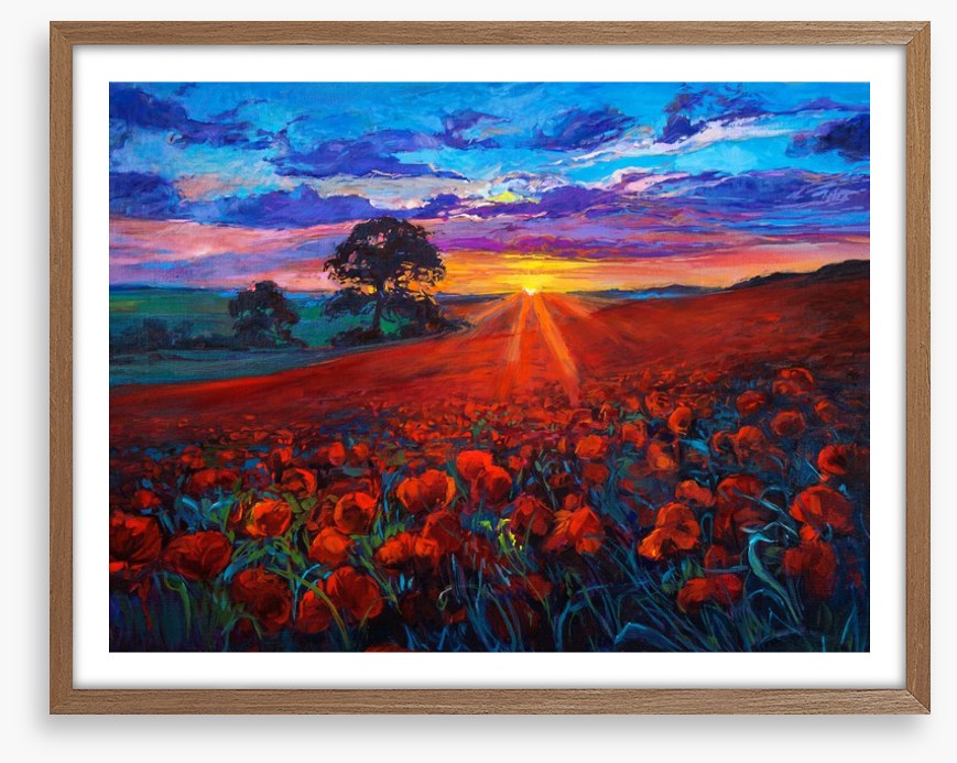 Last ray poppies