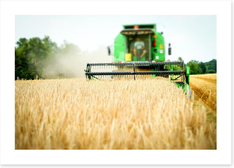 Agriculture