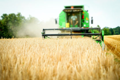 Agriculture