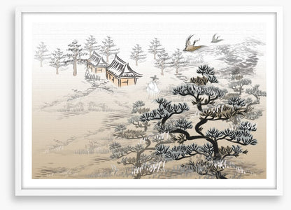 Above the misty forest