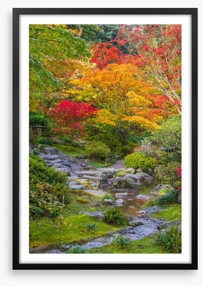 Streaming into fall