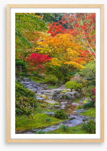 Streaming into fall