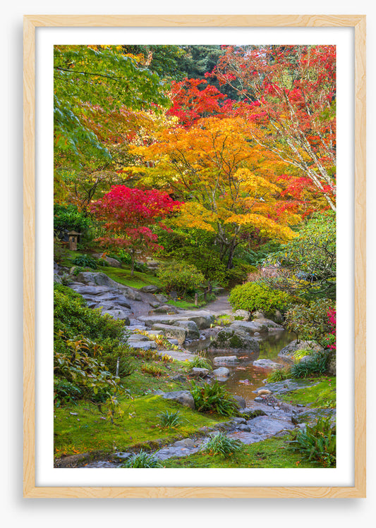 Streaming into fall