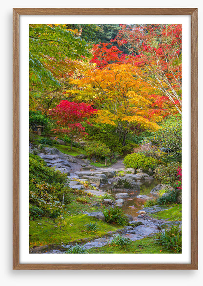 Streaming into fall