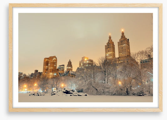 Central Park winter, New York