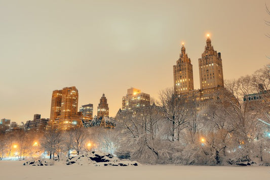 Central Park winter, New York
