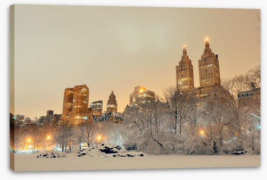 Central Park winter, New York