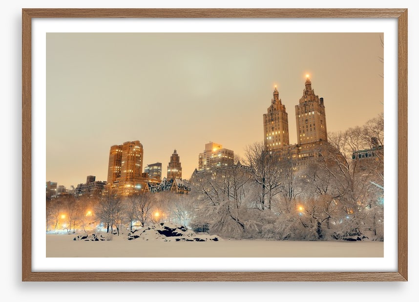 Central Park winter, New York